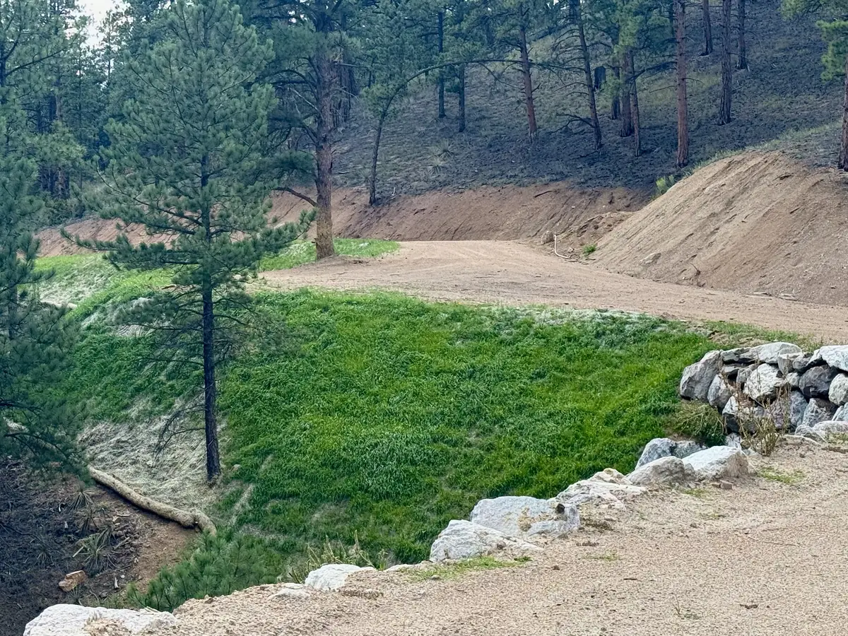 Steep slope below a mountain driveway grown in with green grass from hydroseeding, with a straw wattle along the base and rock along the driveway edge in Conifer, Colorado